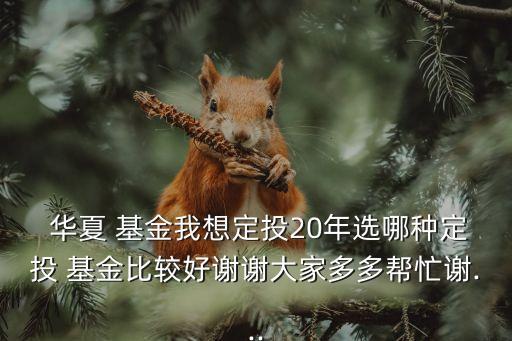 華夏紅利混合基金怎么樣,東方中國(guó)紅利混合基金怎么樣