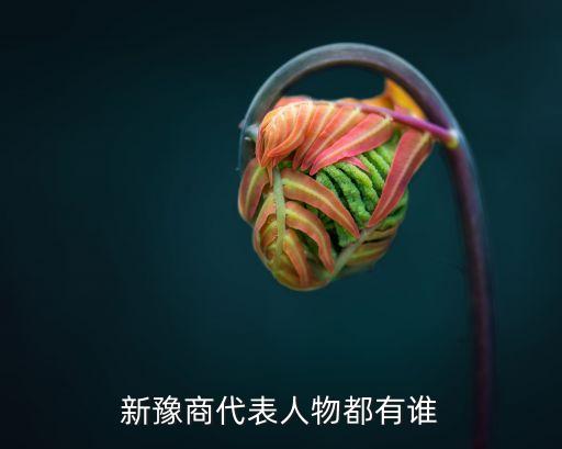 韓宏偉為豫商集團,上海海銀集團韓宏偉