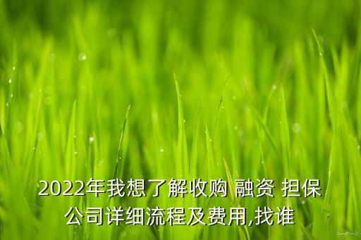 2022年我想了解收購 融資 擔(dān)保公司詳細(xì)流程及費(fèi)用,找誰