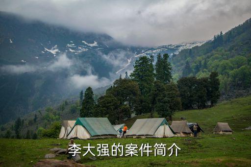 李大強(qiáng)的案件簡介