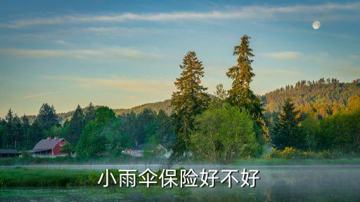小雨傘保險好不好