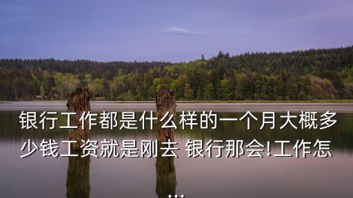  銀行工作都是什么樣的一個月大概多少錢工資就是剛去 銀行那會!工作怎...