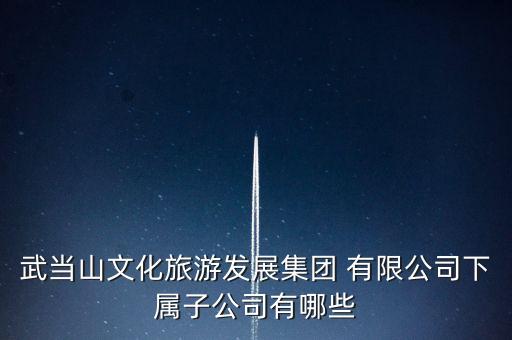 武當山文化旅游發(fā)展集團 有限公司下屬子公司有哪些