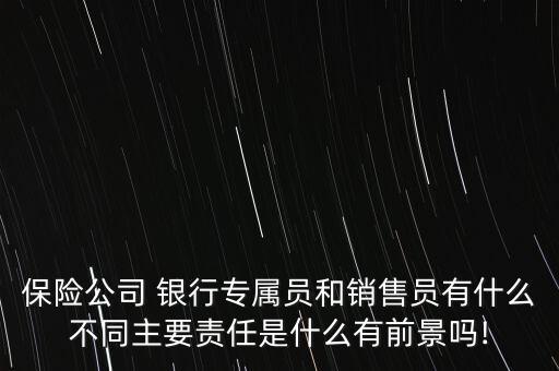 保險公司 銀行專屬員和銷售員有什么不同主要責(zé)任是什么有前景嗎!