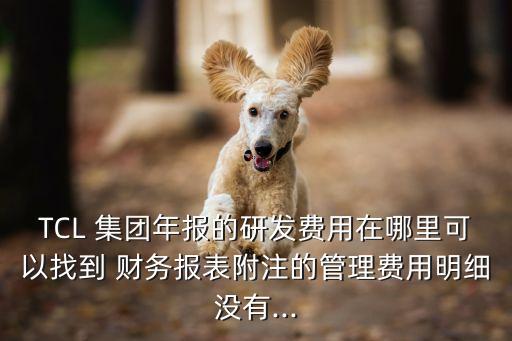 tcl集團2005年財務報告