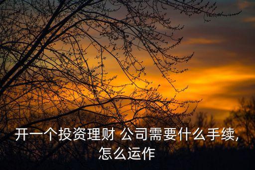 開一個投資理財 公司需要什么手續(xù),怎么運作