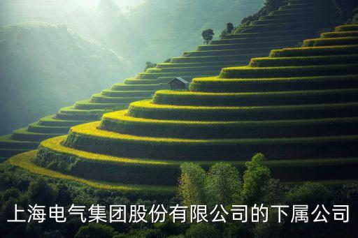 上海電氣集團(tuán)股份有限公司的下屬公司