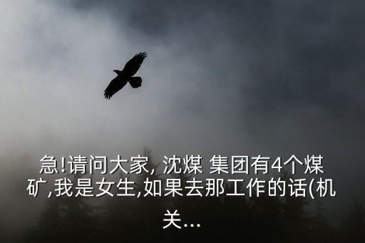 急!請問大家, 沈煤 集團(tuán)有4個煤礦,我是女生,如果去那工作的話(機(jī)關(guān)...