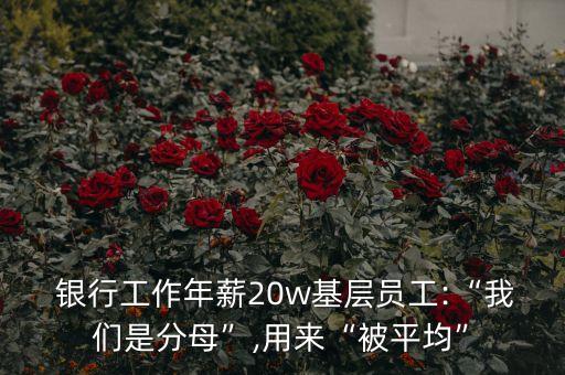  銀行工作年薪20w基層員工:“我們是分母”,用來(lái)“被平均”