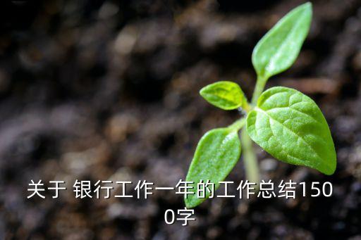 關(guān)于 銀行工作一年的工作總結(jié)1500字