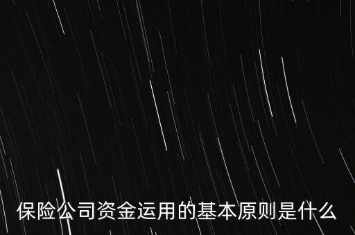 保險公司資金運用的基本原則是什么