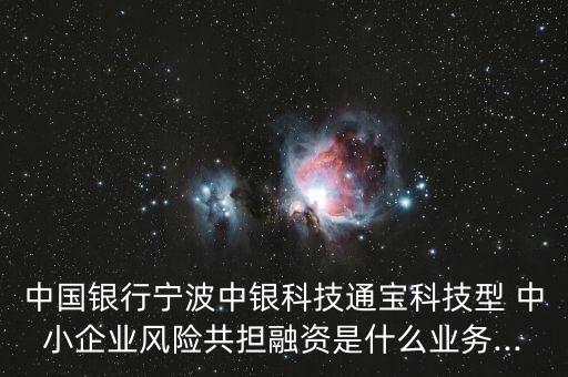 中國銀行寧波中銀科技通寶科技型 中小企業(yè)風險共擔融資是什么業(yè)務(wù)...
