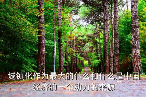  城鎮(zhèn)化作為最大的什么和什么是中國 經(jīng)濟的一個動力的來源