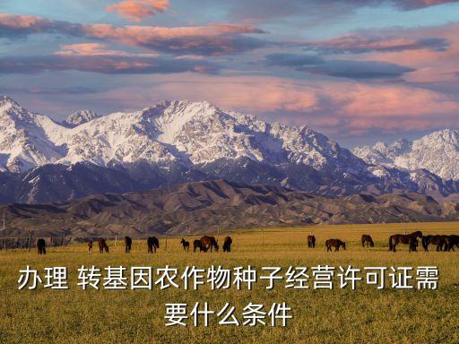 辦理 轉(zhuǎn)基因農(nóng)作物種子經(jīng)營(yíng)許可證需要什么條件