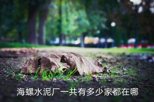  海螺水泥廠一共有多少家都在哪
