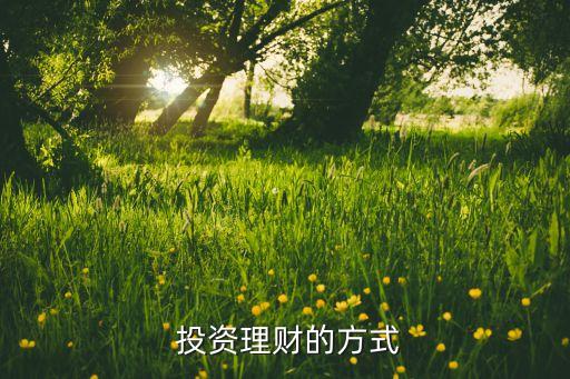  投資理財?shù)姆绞? class=