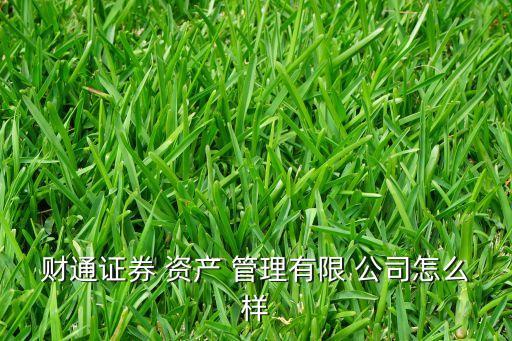 財通證券 資產(chǎn) 管理有限 公司怎么樣