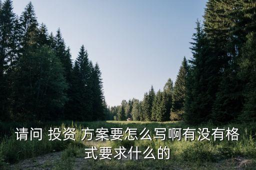 請(qǐng)問(wèn) 投資 方案要怎么寫(xiě)啊有沒(méi)有格式要求什么的