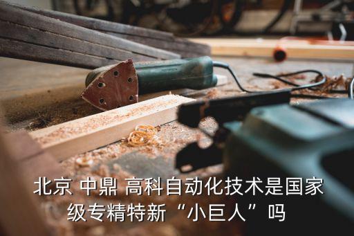  北京 中鼎 高科自動(dòng)化技術(shù)是國(guó)家級(jí)專(zhuān)精特新“小巨人”嗎