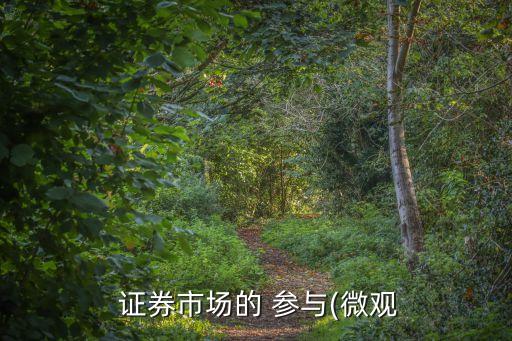  證券市場的 參與(微觀