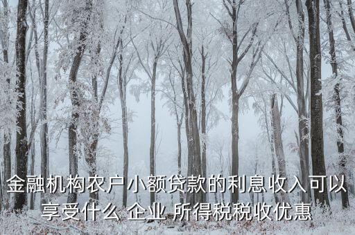 金融機構(gòu)農(nóng)戶小額貸款的利息收入可以享受什么 企業(yè) 所得稅稅收優(yōu)惠