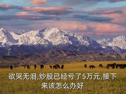 欲哭無淚,炒股已經虧了5萬元,接下來該怎么辦好