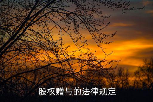 北京公司贈(zèng)予股權(quán),公司股權(quán)可以贈(zèng)予嗎