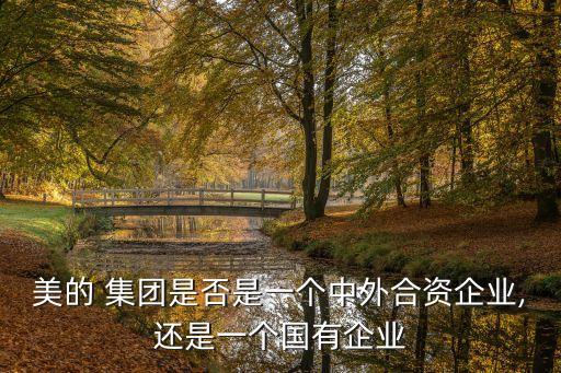 美的 集團(tuán)是否是一個(gè)中外合資企業(yè),還是一個(gè)國有企業(yè)