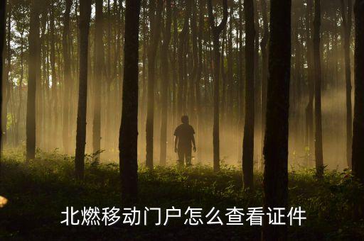  北燃移動(dòng)門戶怎么查看證件