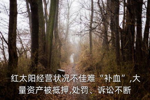  紅太陽(yáng)經(jīng)營(yíng)狀況不佳難“補(bǔ)血”,大量資產(chǎn)被抵押,處罰、訴訟不斷