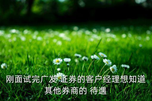 合肥哪個(gè)證券公司待遇好,合肥國元證券公司待遇怎么樣