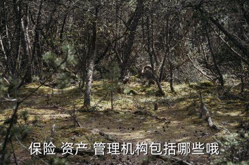 保險 資產(chǎn) 管理機構(gòu)包括哪些哦