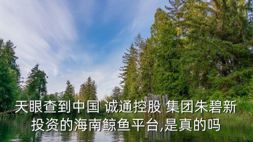 天眼查到中國 誠通控股 集團(tuán)朱碧新投資的海南鯨魚平臺(tái),是真的嗎