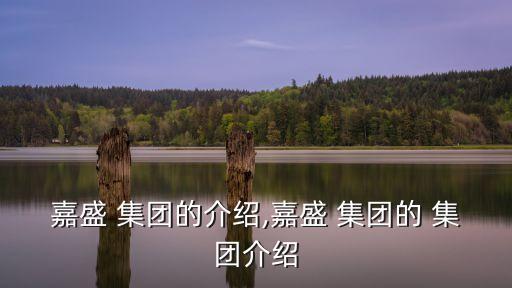 嘉盛 集團的介紹,嘉盛 集團的 集團介紹