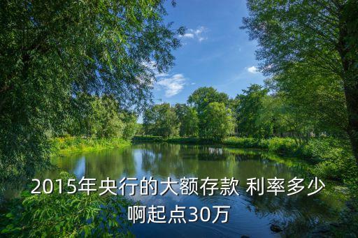 2015年央行的大額存款 利率多少啊起點(diǎn)30萬(wàn)
