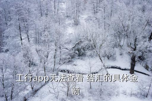  工行app無法查看 結匯的具體金額