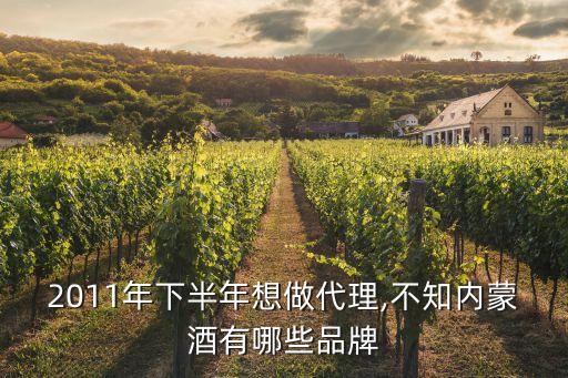 2011年下半年想做代理,不知內(nèi)蒙酒有哪些品牌