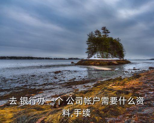 去 銀行辦一個(gè) 公司帳戶(hù)需要什么資料,手續(xù)