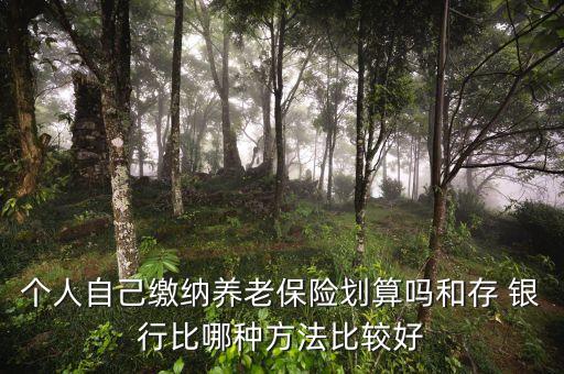 個人自己繳納養(yǎng)老保險劃算嗎和存 銀行比哪種方法比較好