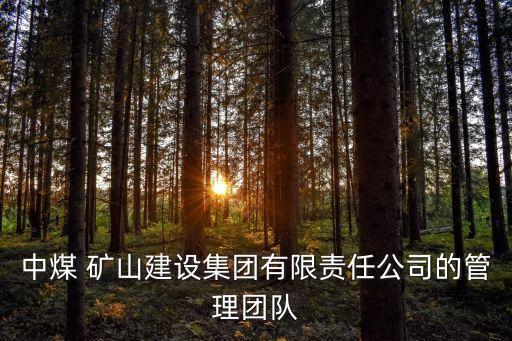 中煤 礦山建設集團有限責任公司的管理團隊