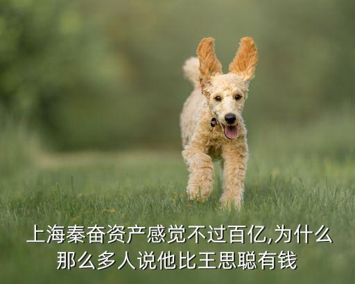  上海秦奮資產(chǎn)感覺(jué)不過(guò)百億,為什么那么多人說(shuō)他比王思聰有錢(qián)