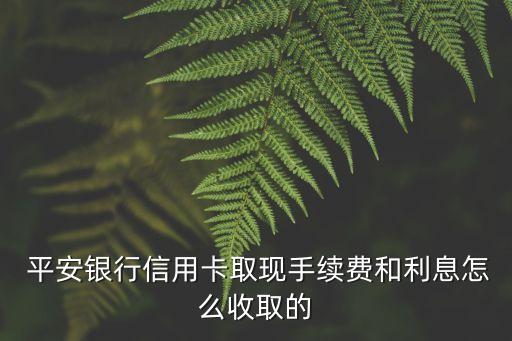 平安銀行卡費用