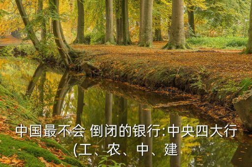 中國(guó)最不會(huì) 倒閉的銀行:中央四大行(工、農(nóng)、中、建
