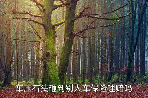 車被砸了保險(xiǎn)公司賠不賠,尋釁滋事砸車定損3000會判刑