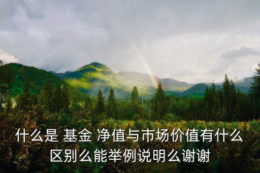 000831基金凈值查詢,00 000 83基金凈值查詢今天