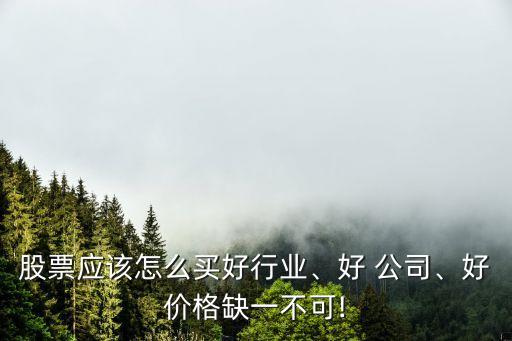 股票應(yīng)該怎么買好行業(yè)、好 公司、好價格缺一不可!