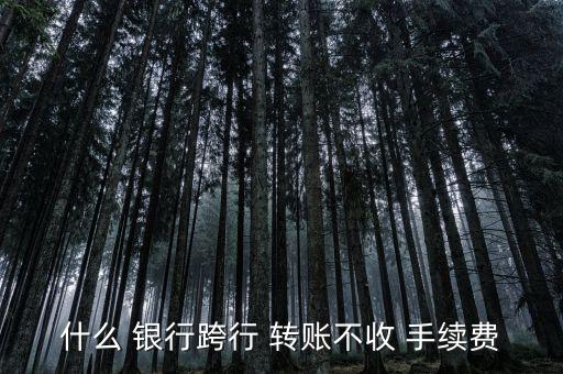 什么銀行轉賬不用手續(xù)費,銀行轉賬不用手續(xù)費的app