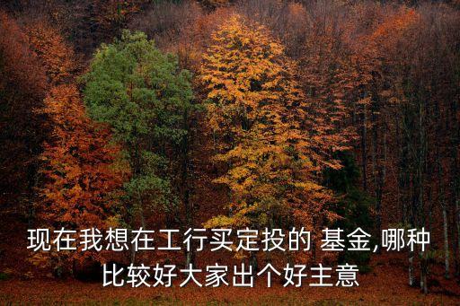 現(xiàn)在我想在工行買定投的 基金,哪種比較好大家出個(gè)好主意