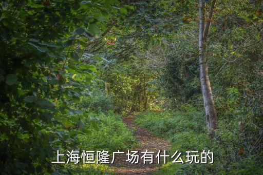  上海恒隆廣場(chǎng)有什么玩的