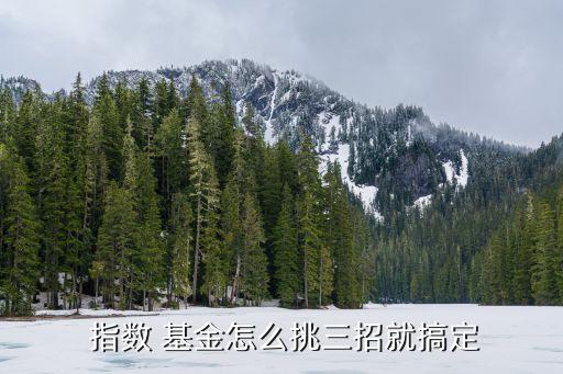 完全復制型指數(shù)基金,窄基指數(shù)基金怎么買